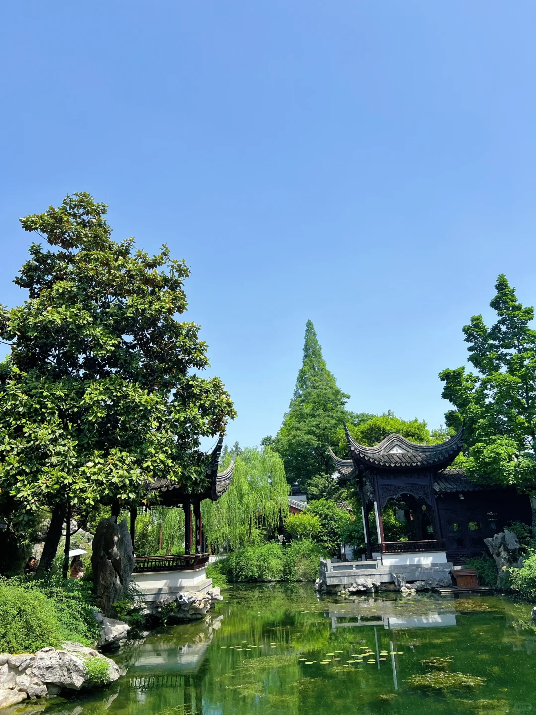 南京遛娃~南京矿博会展览太好逛啦