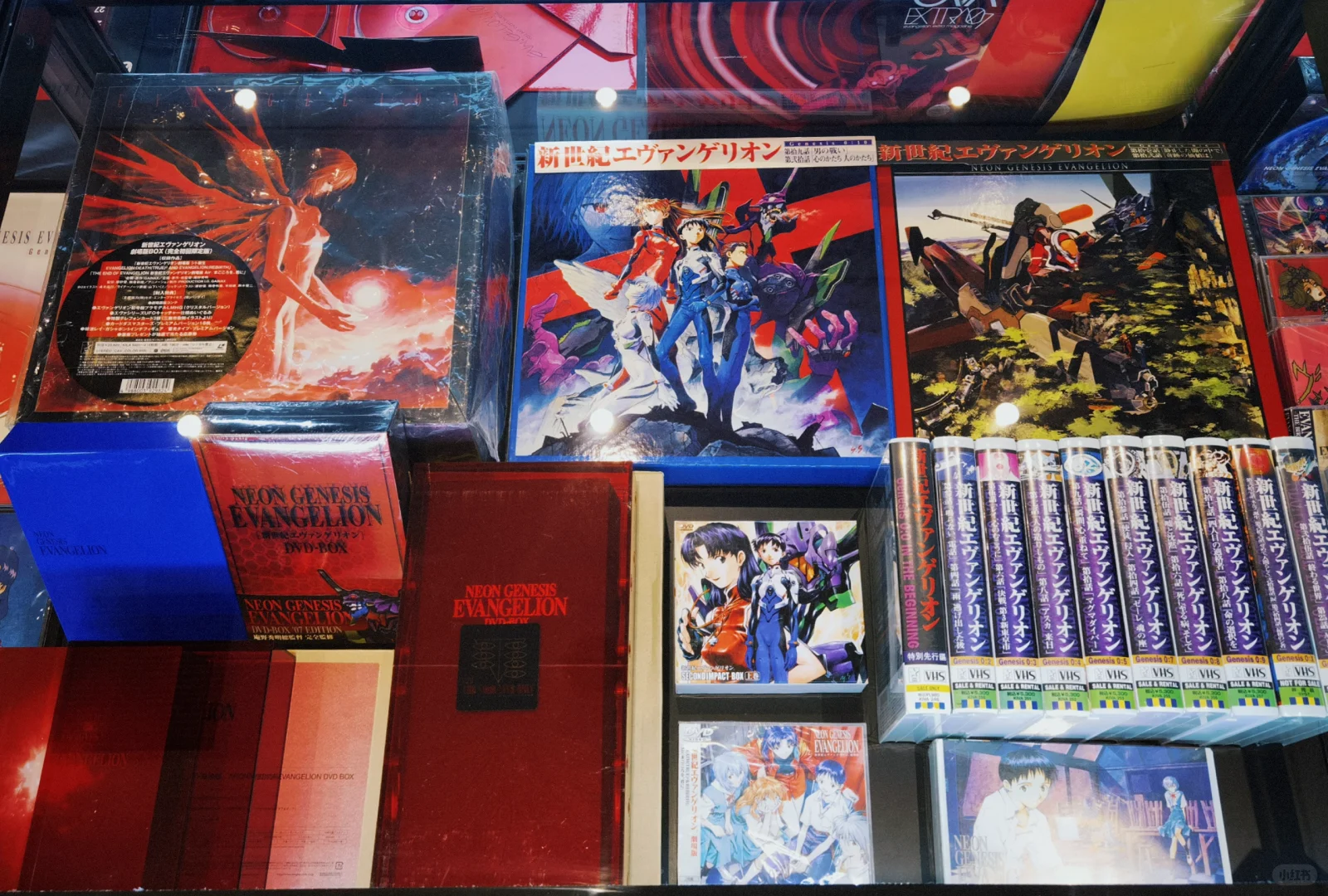 EVA迷不得不去的EVA大博览会都有啥？