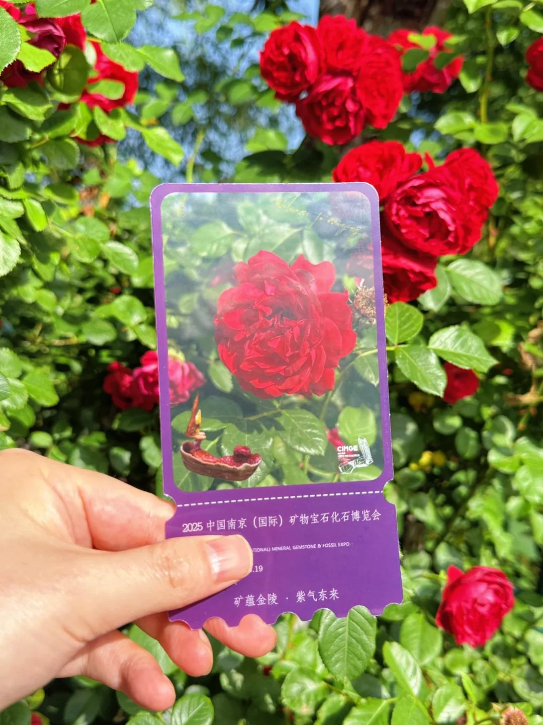 ?‍♂️南京眼Citywalk全攻略，本地土著亲测