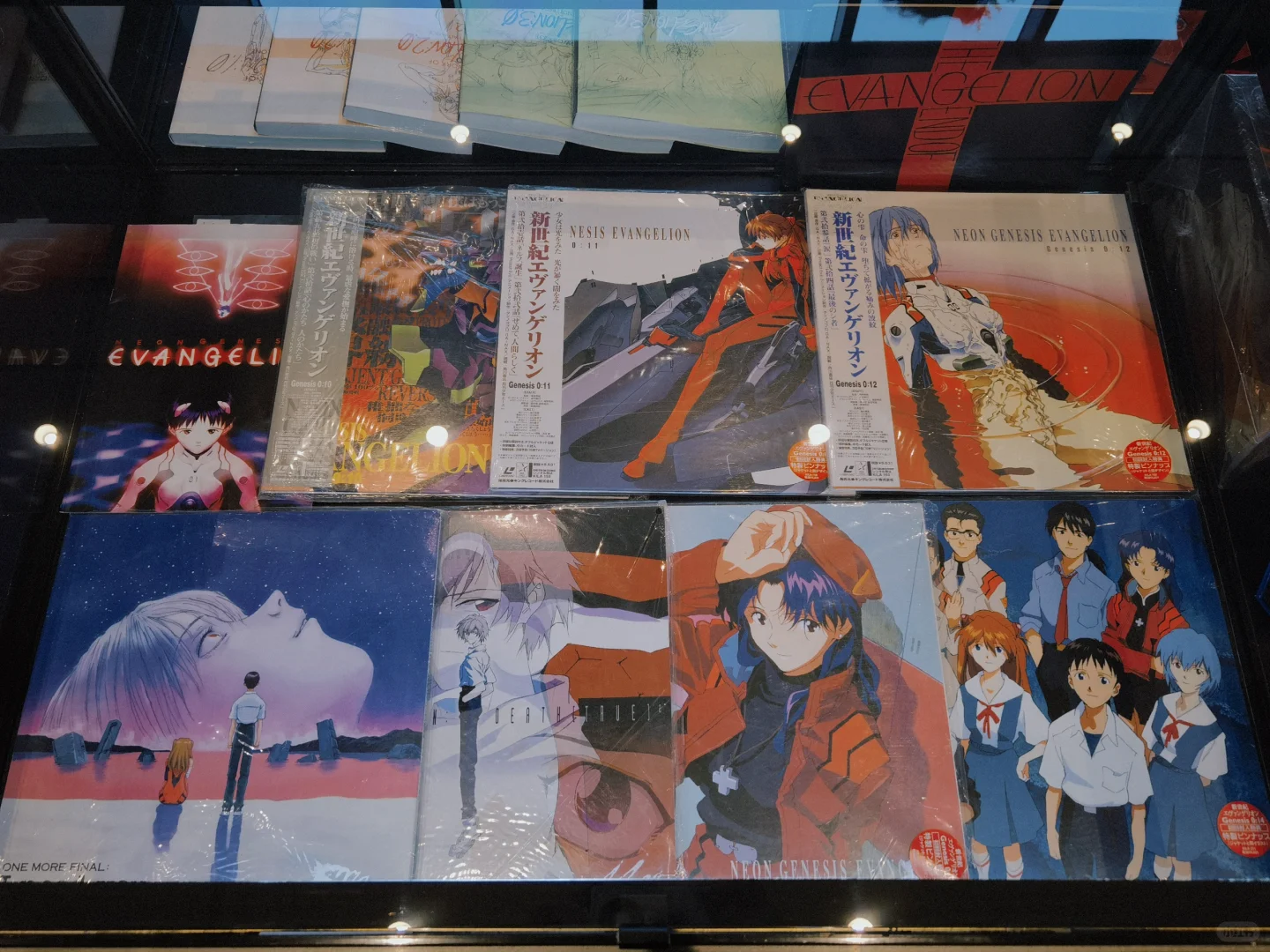 EVA迷不得不去的EVA大博览会都有啥？