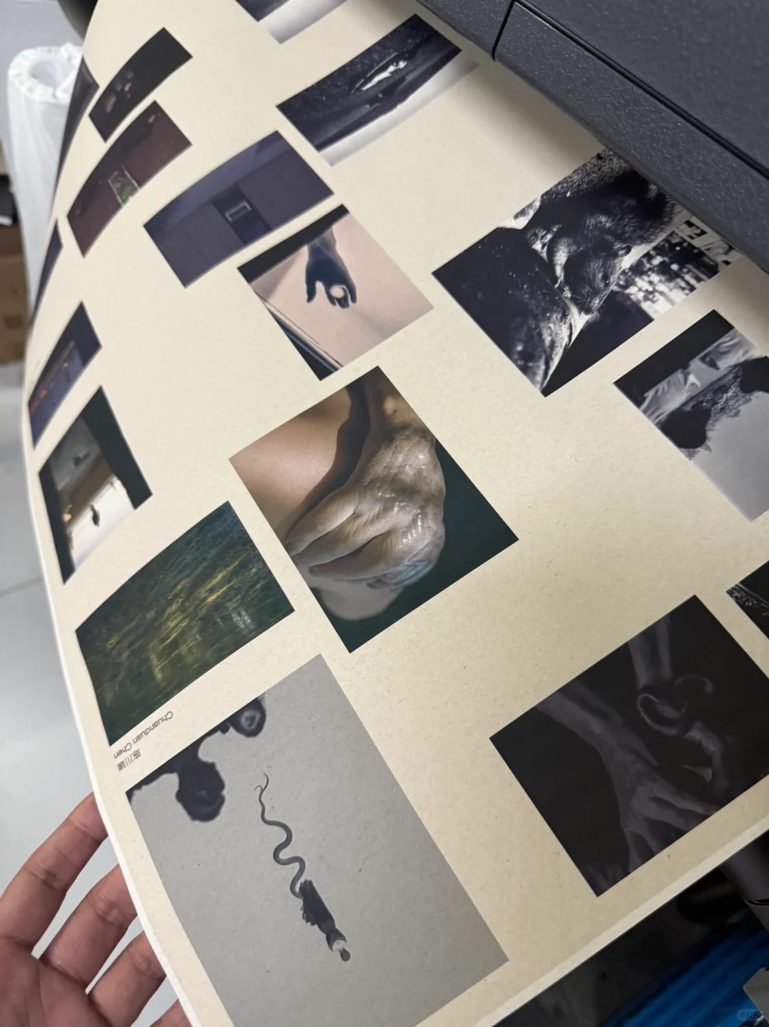 不可错过的影像盛会- 影像上海艺术博览会