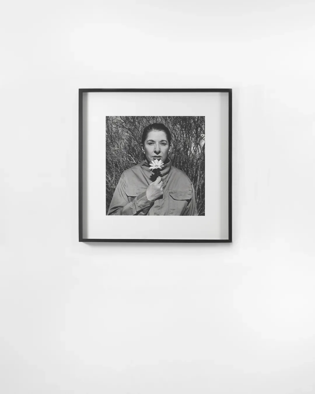 评论赠票｜2025影像上海艺术博览会，明天见