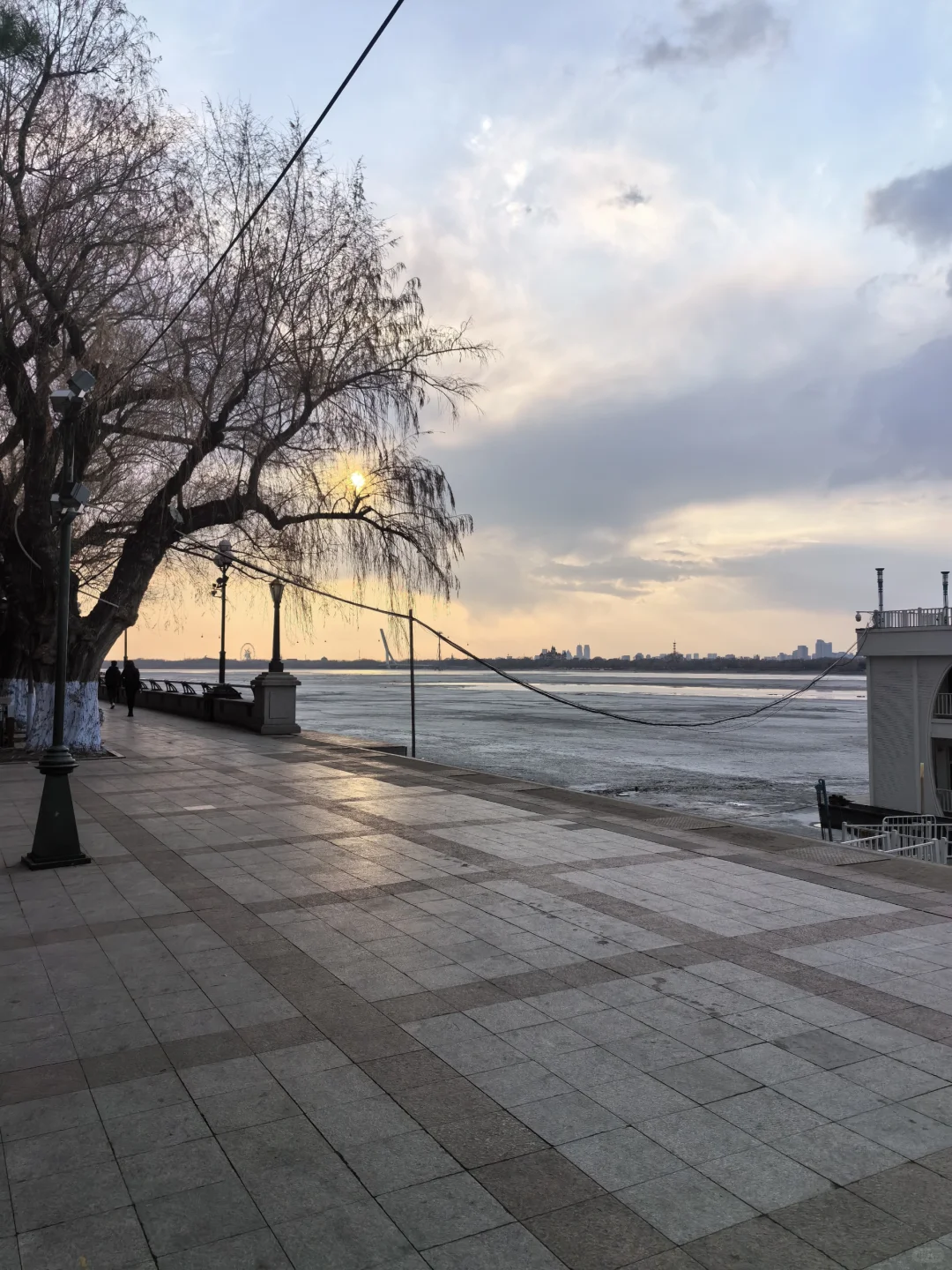 找个搭子一起去博览会