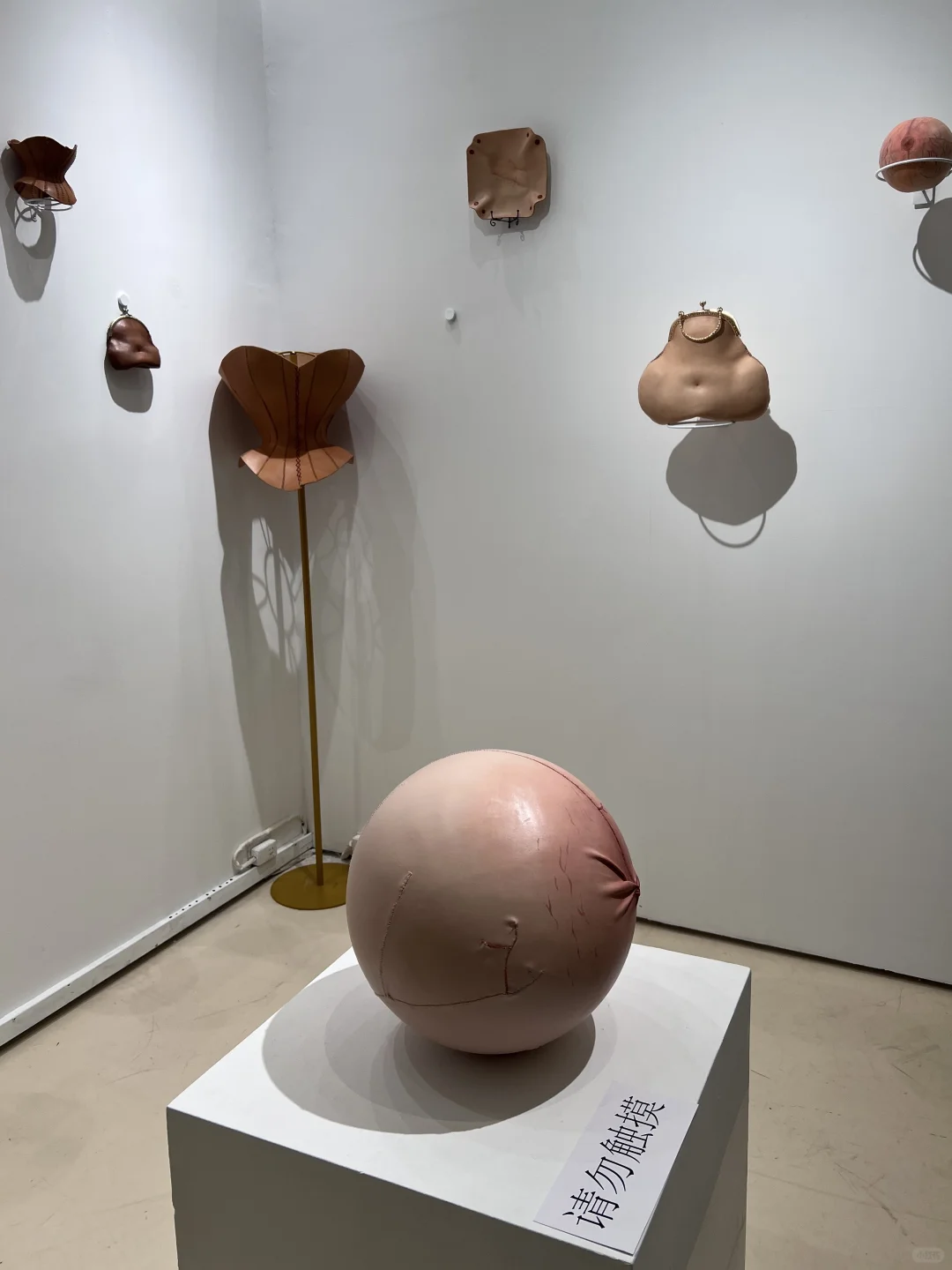 艺术看展团｜2025央美毕业展（附攻略?