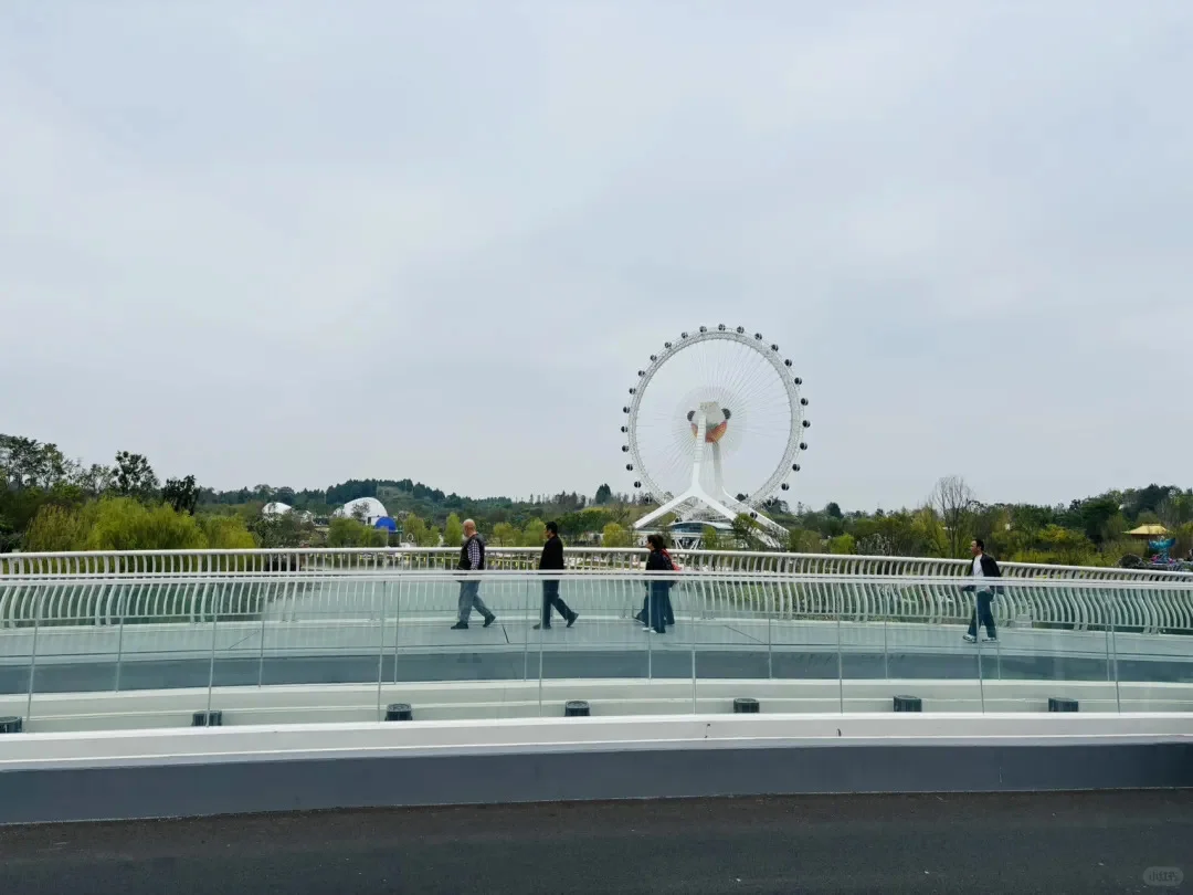成都唯一“世界级”公园，现在免费
