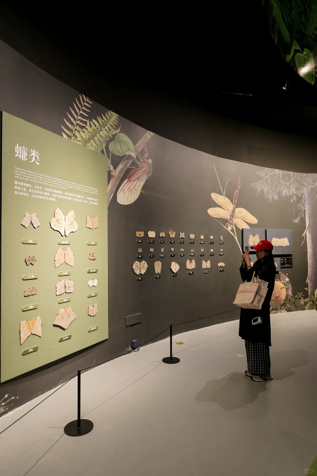 五一杭州打卡?彗星来临前见证地球梦幻