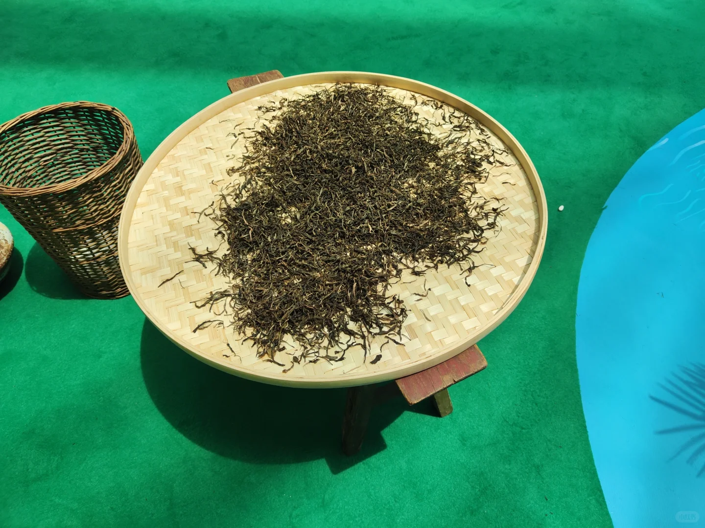 云茶博览会，上山喝茶