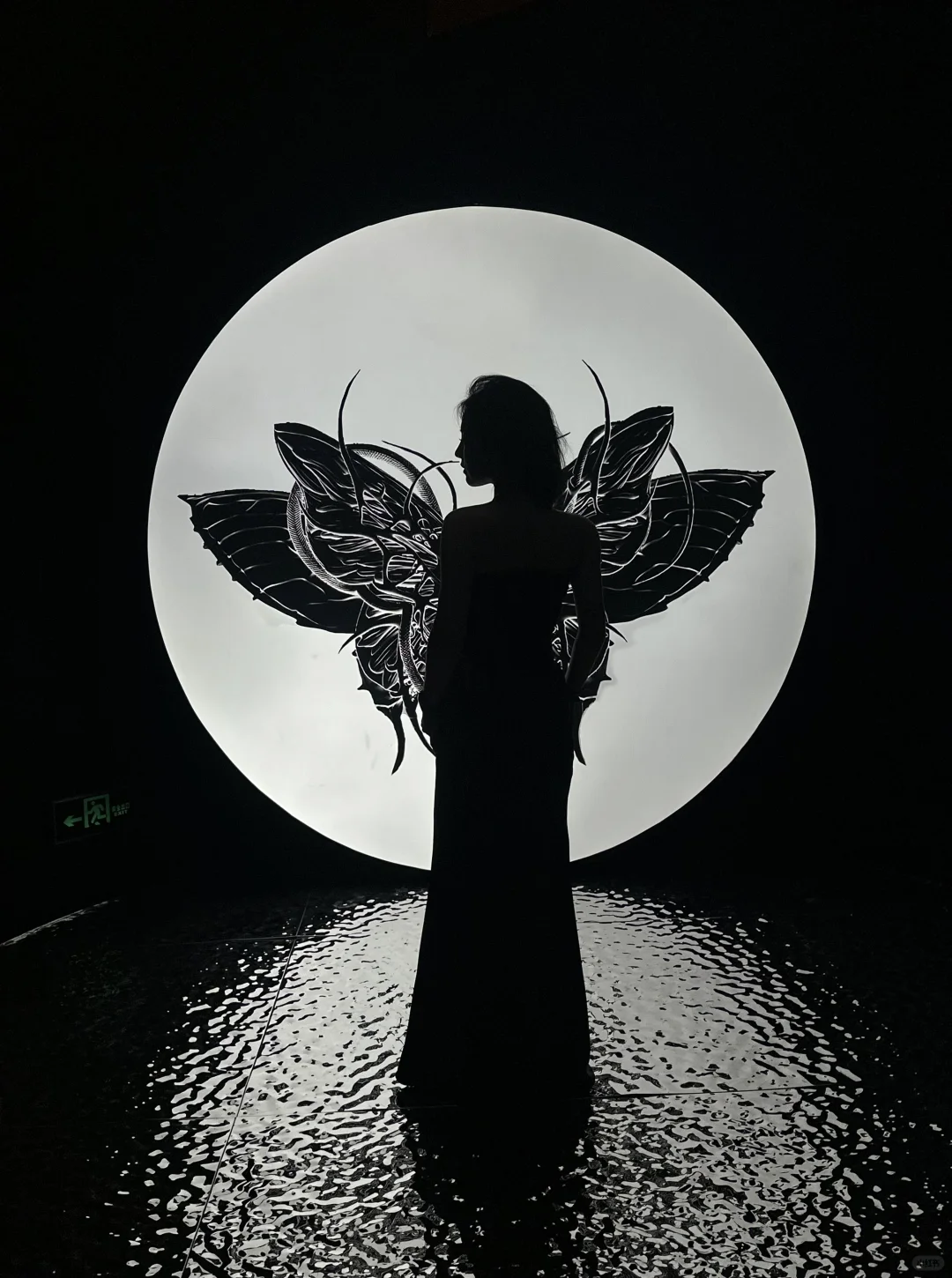 ?上海新展｜“可她眼波轮转”