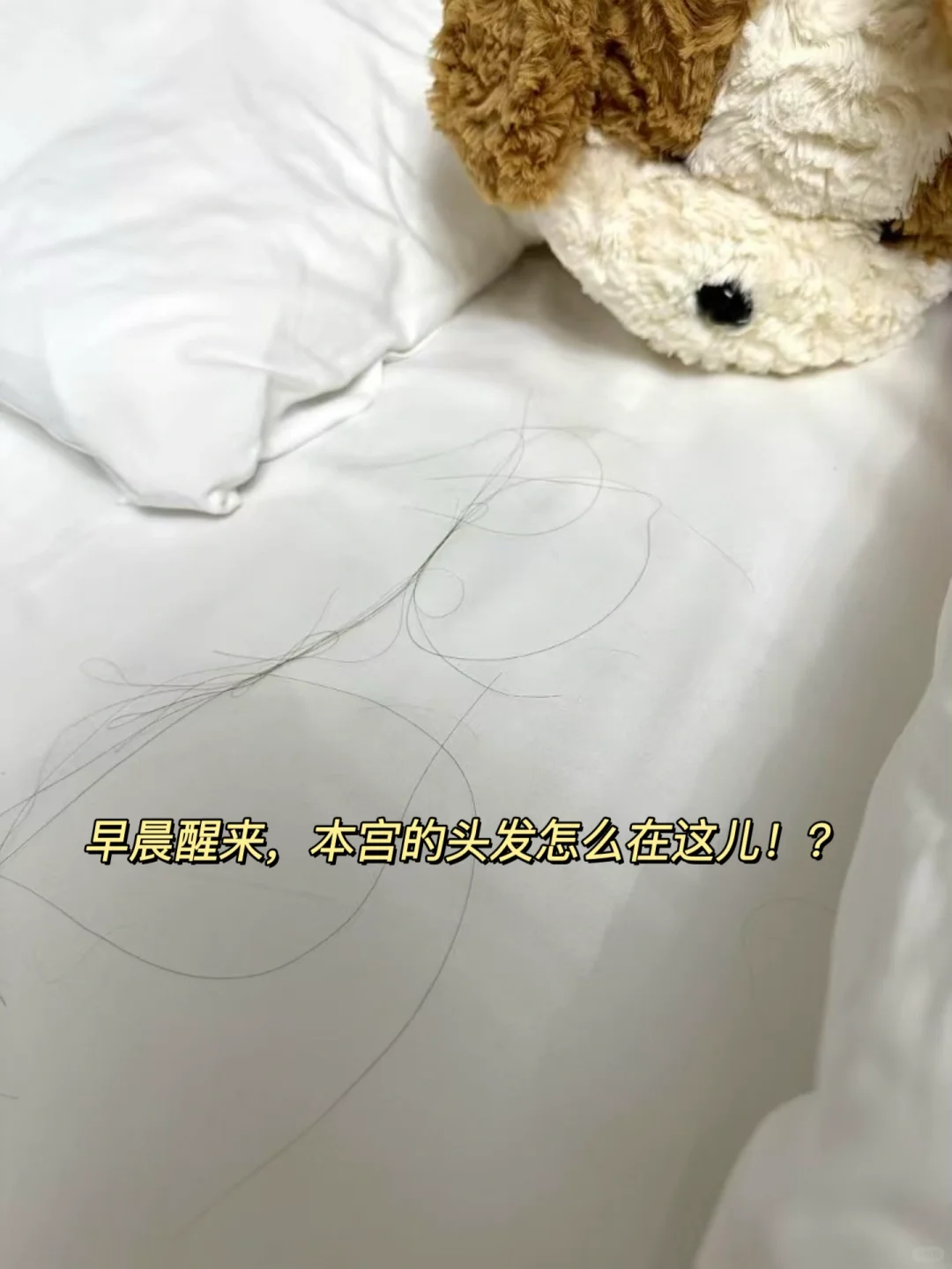 会展行业｜筹备期的精神状态还好吗