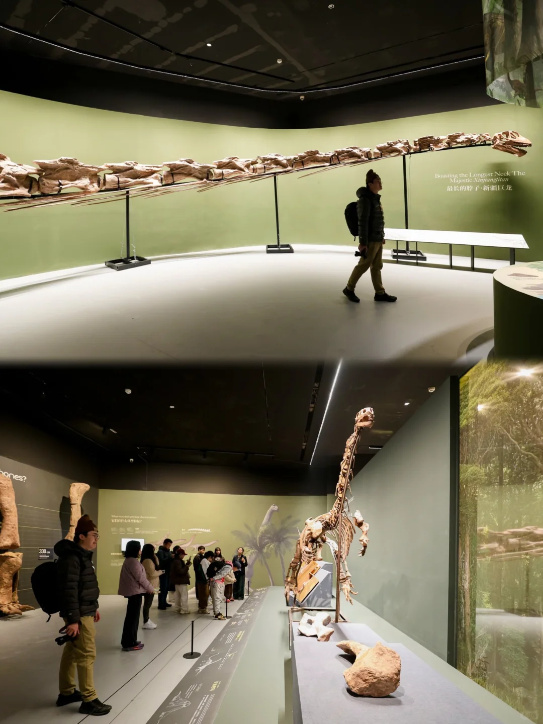 五一杭州打卡?彗星来临前见证地球梦幻