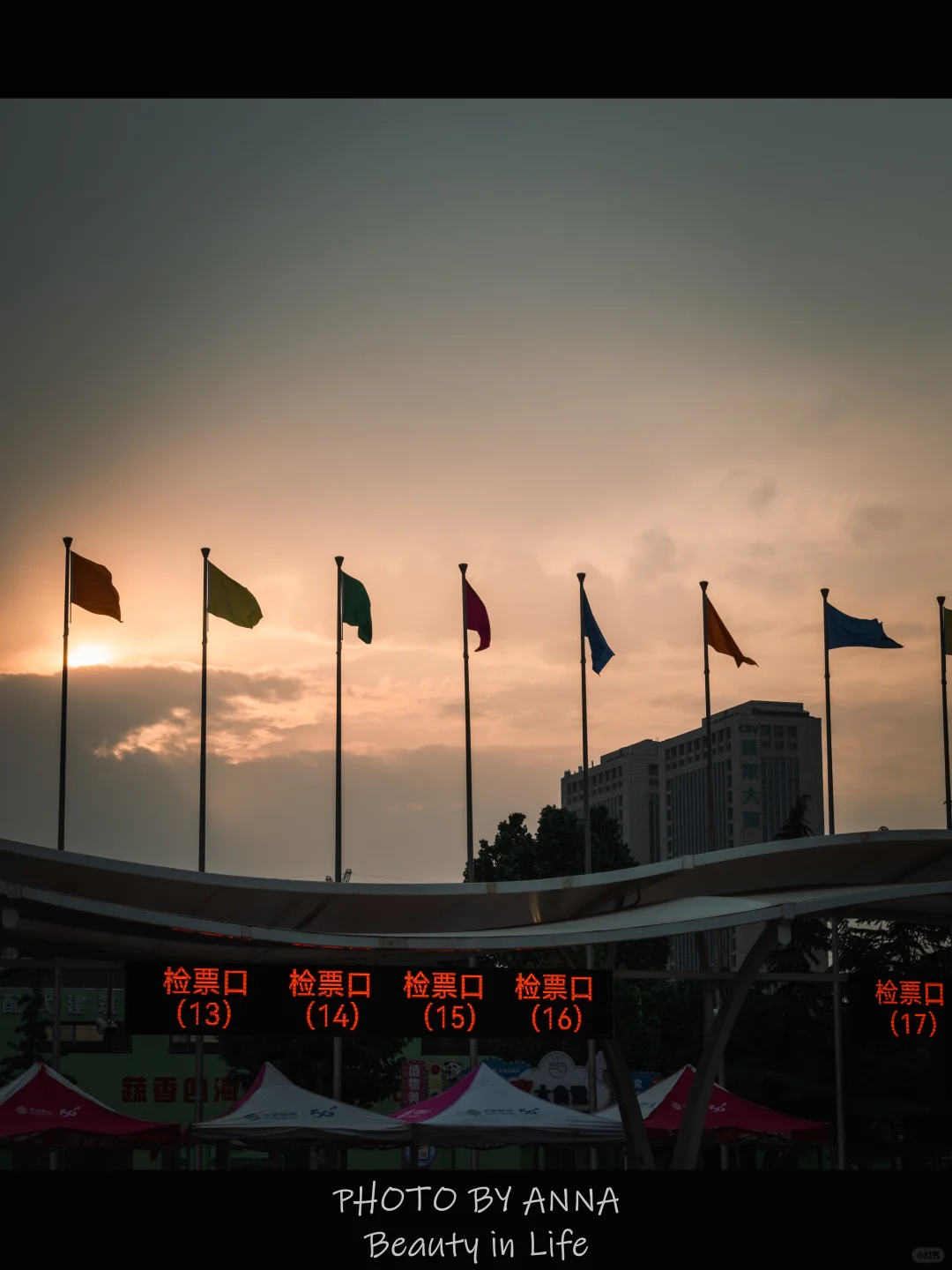 潍坊|寿光蔬菜科技博览会--我国的菜篮子