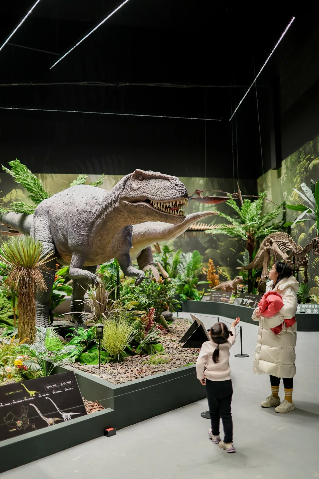 五一杭州打卡?彗星来临前见证地球梦幻