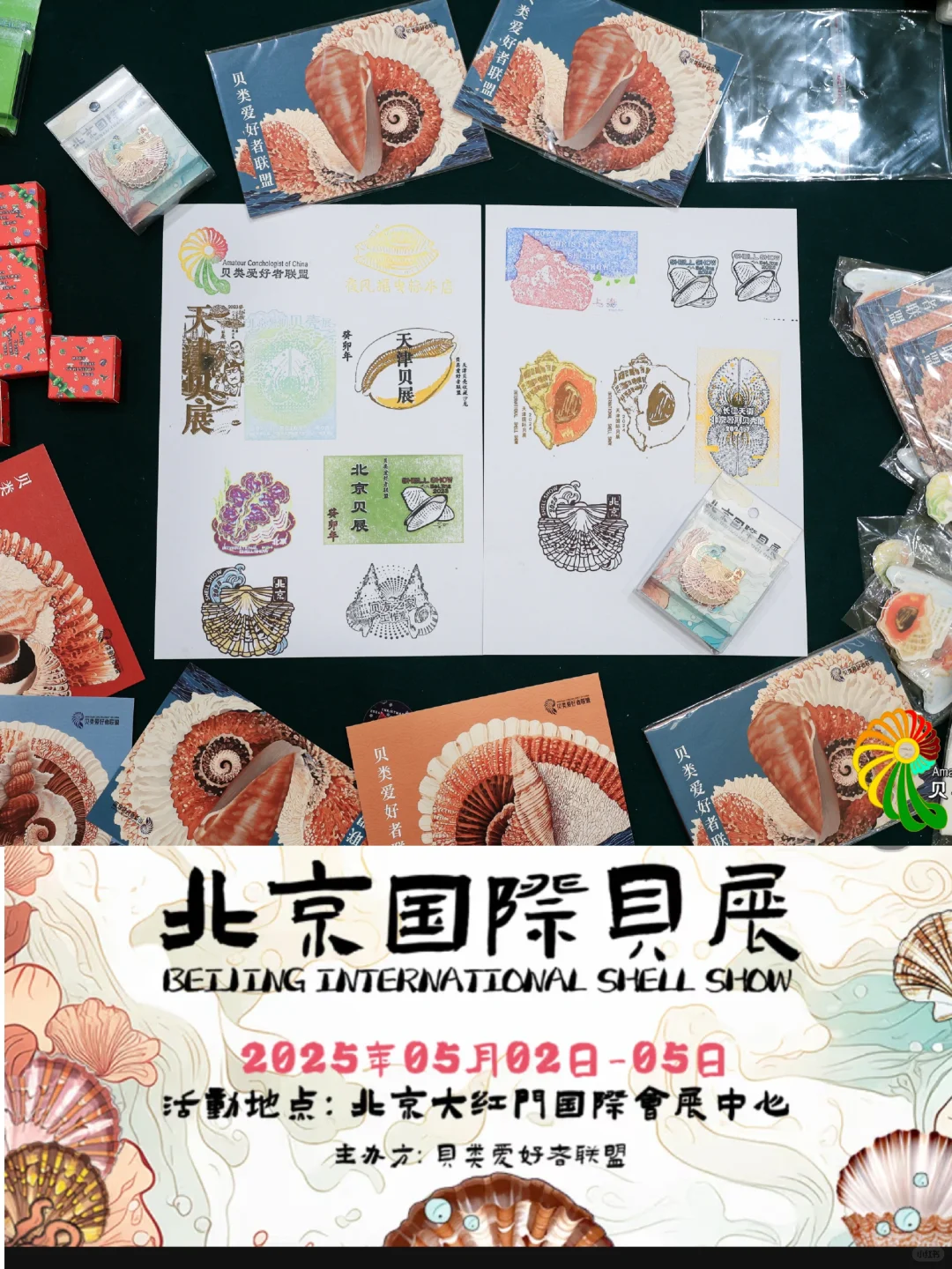 2025年北京国际贝展回顾