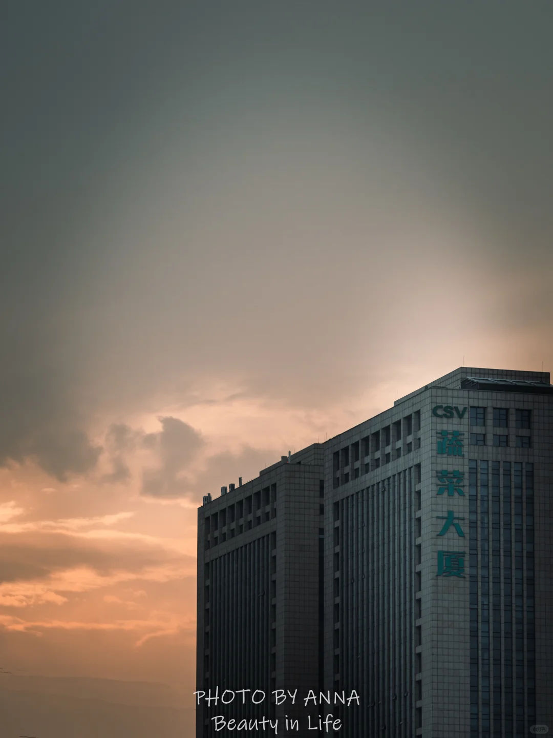 潍坊|寿光蔬菜科技博览会--我国的菜篮子