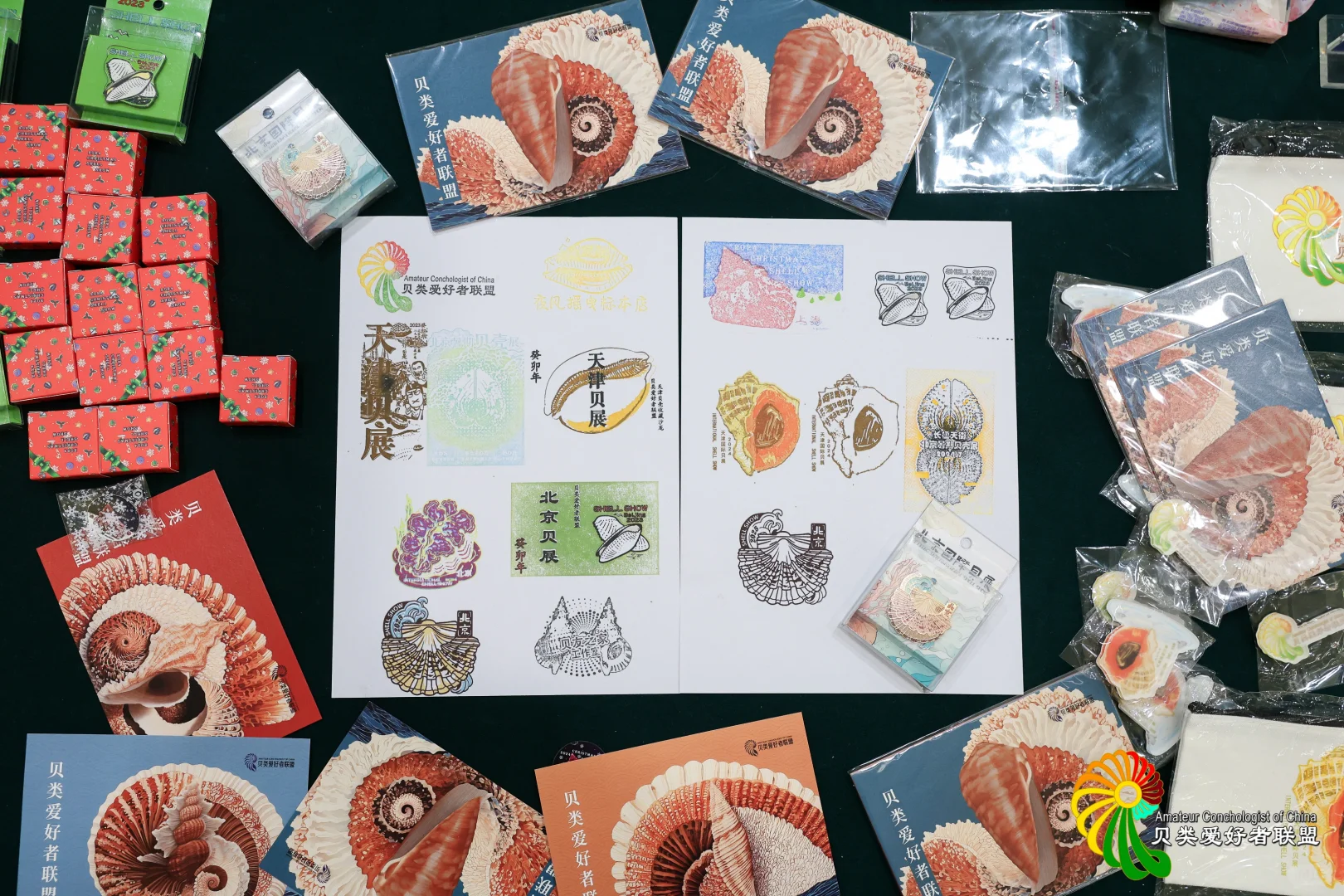 2025年北京国际贝展回顾