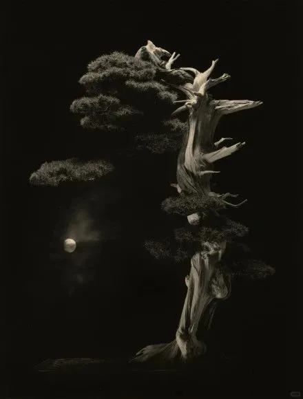 2025第十届影像上海艺术博览会即将开幕啦