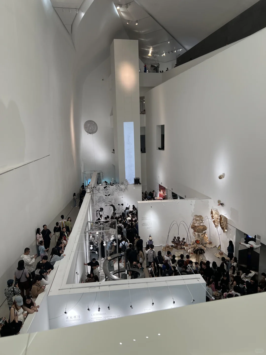 艺术看展团｜2025央美毕业展（附攻略?