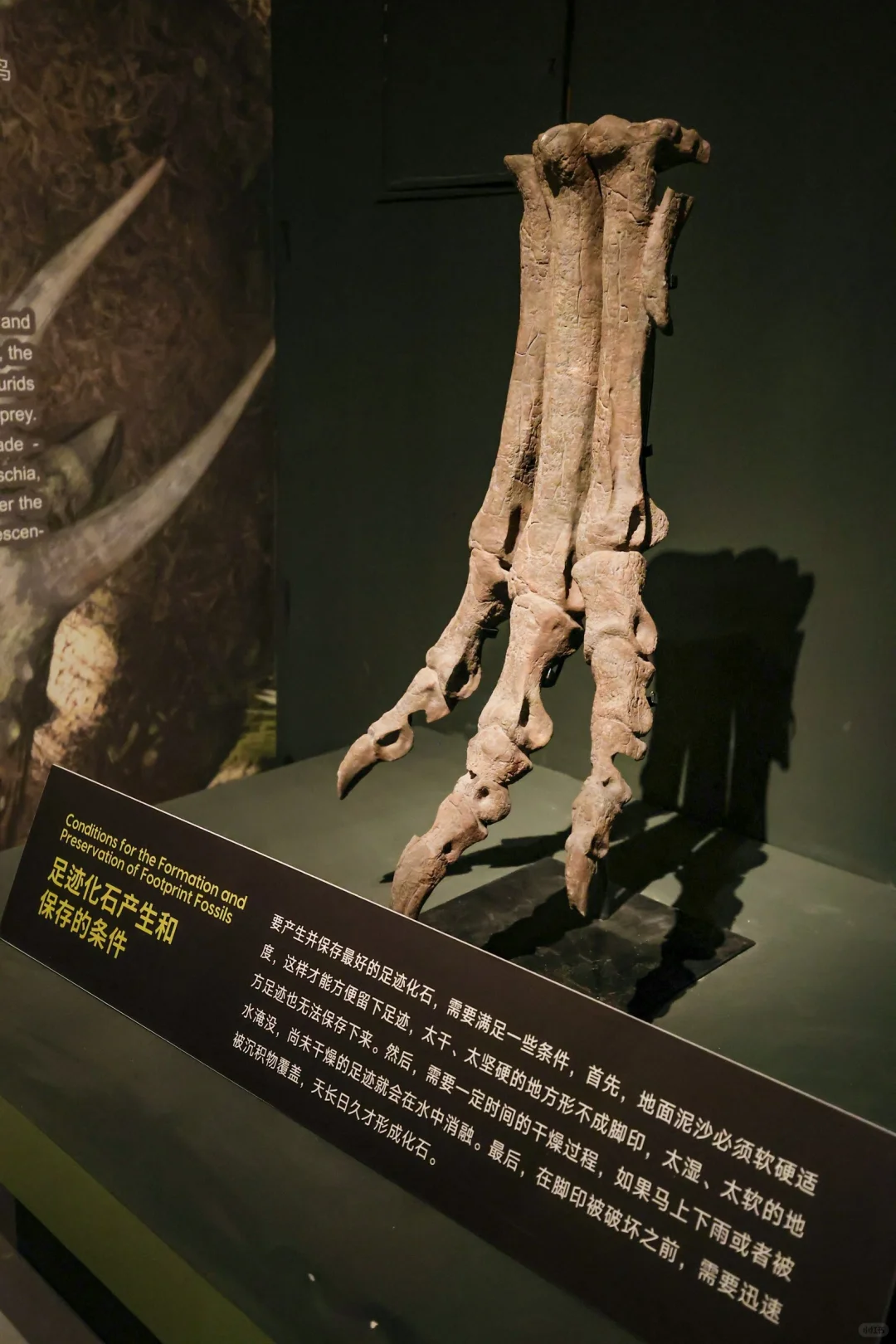 五一杭州打卡?彗星来临前见证地球梦幻