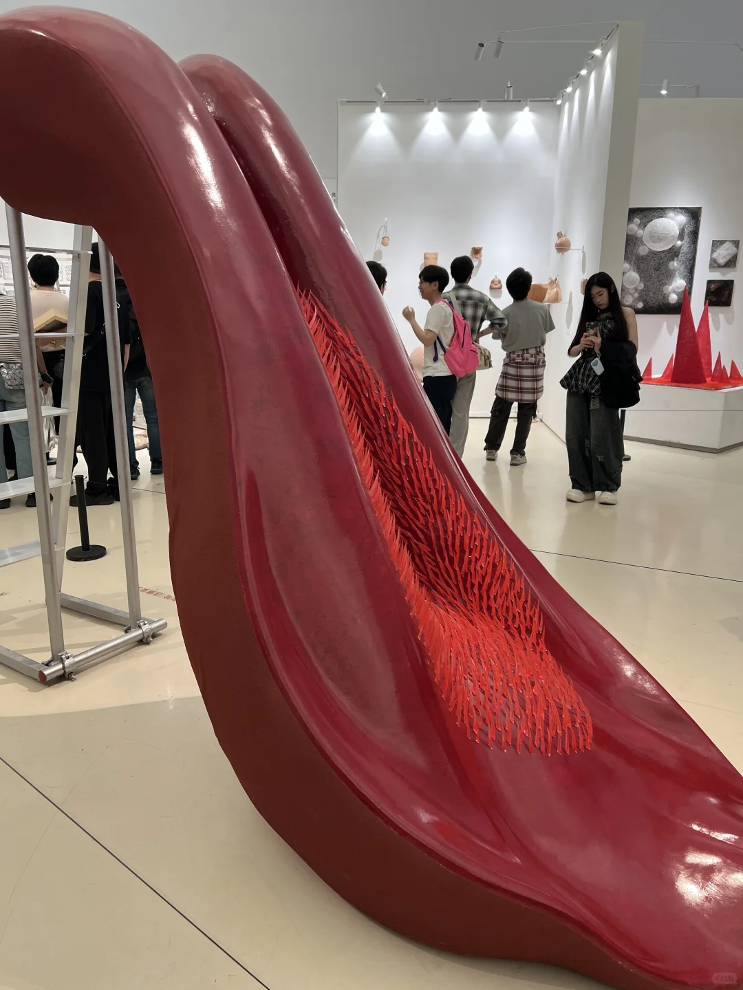 艺术看展团｜2025央美毕业展（附攻略?