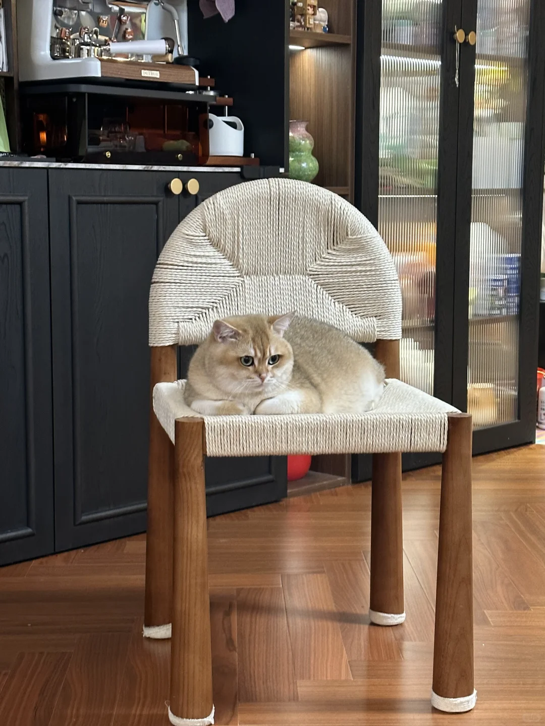 2025它博会薅羊毛实战攻略！第一次去的速看！