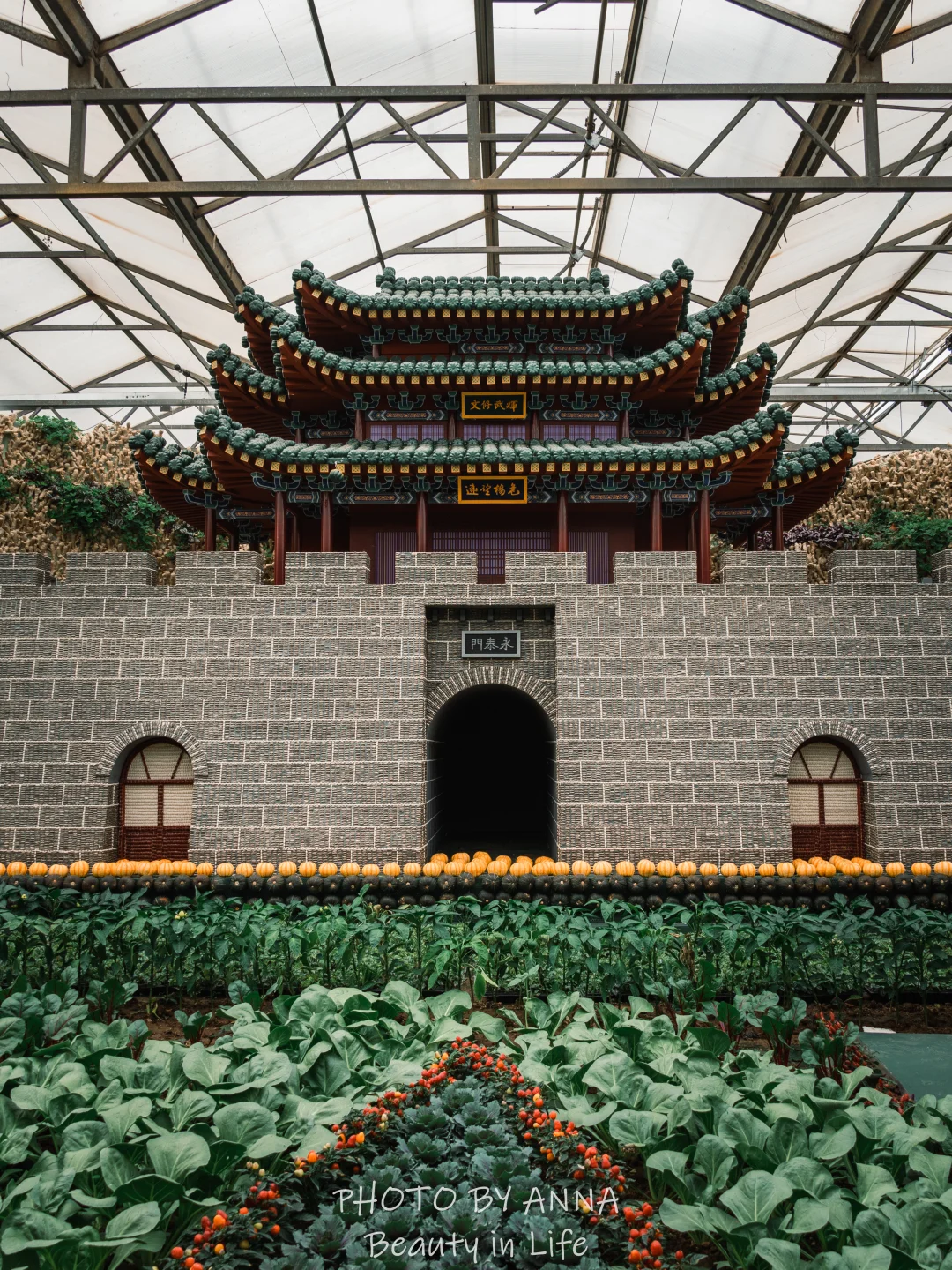 潍坊|寿光蔬菜科技博览会--我国的菜篮子