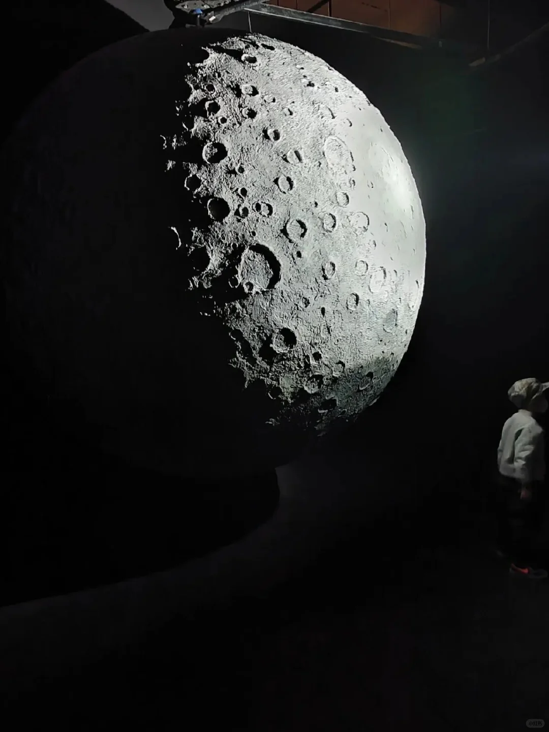 邂逅宇宙浪漫|上海漫无边界航天展