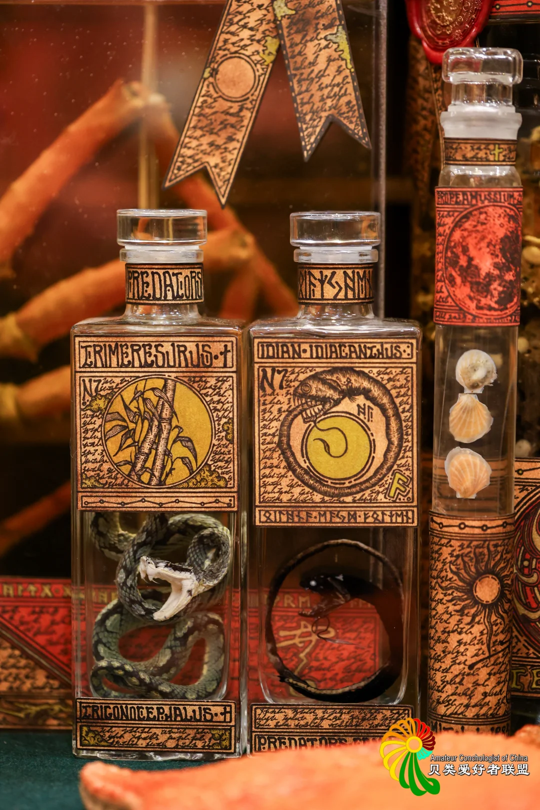 2025年北京国际贝展回顾