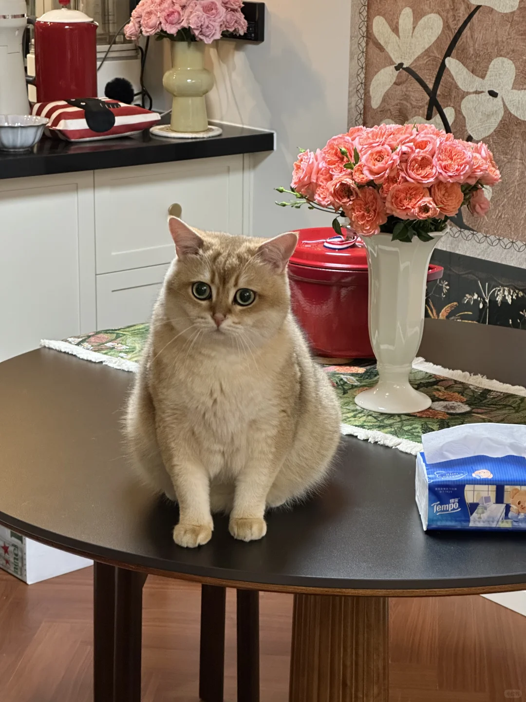 2025它博会薅羊毛实战攻略！第一次去的速看！