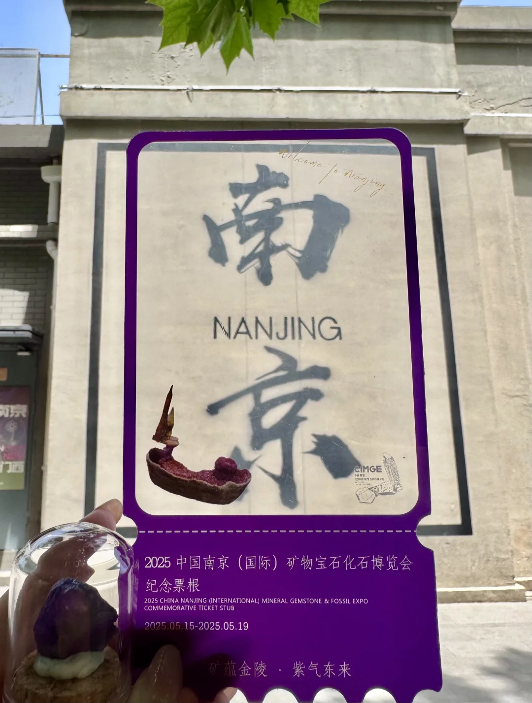 人生建议：拍完这15张图再离开南京！！