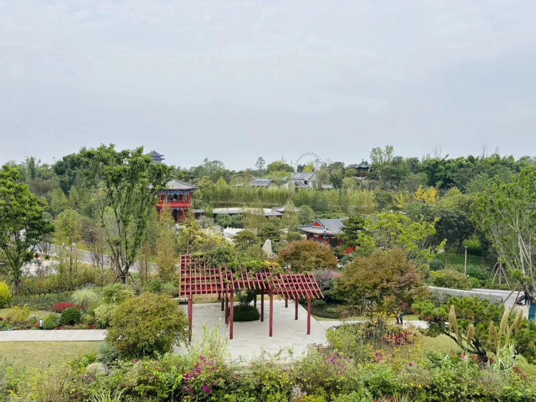 成都唯一“世界级”公园，现在免费