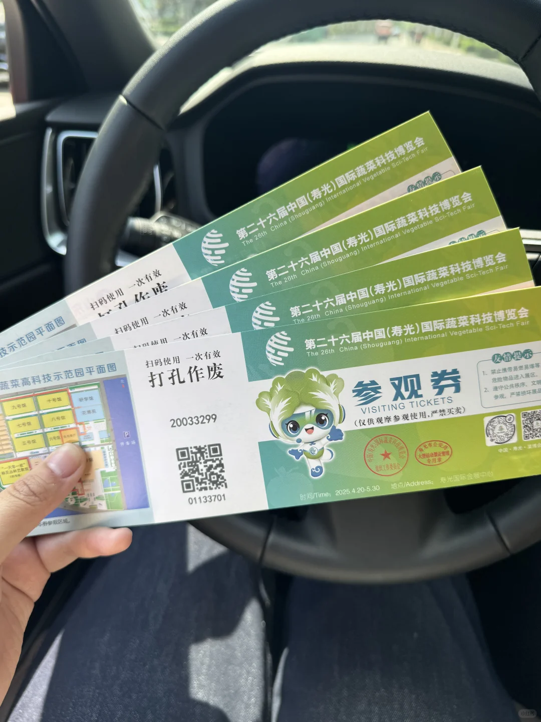 寿光蔬菜博览会 中老年人最好的打卡景点