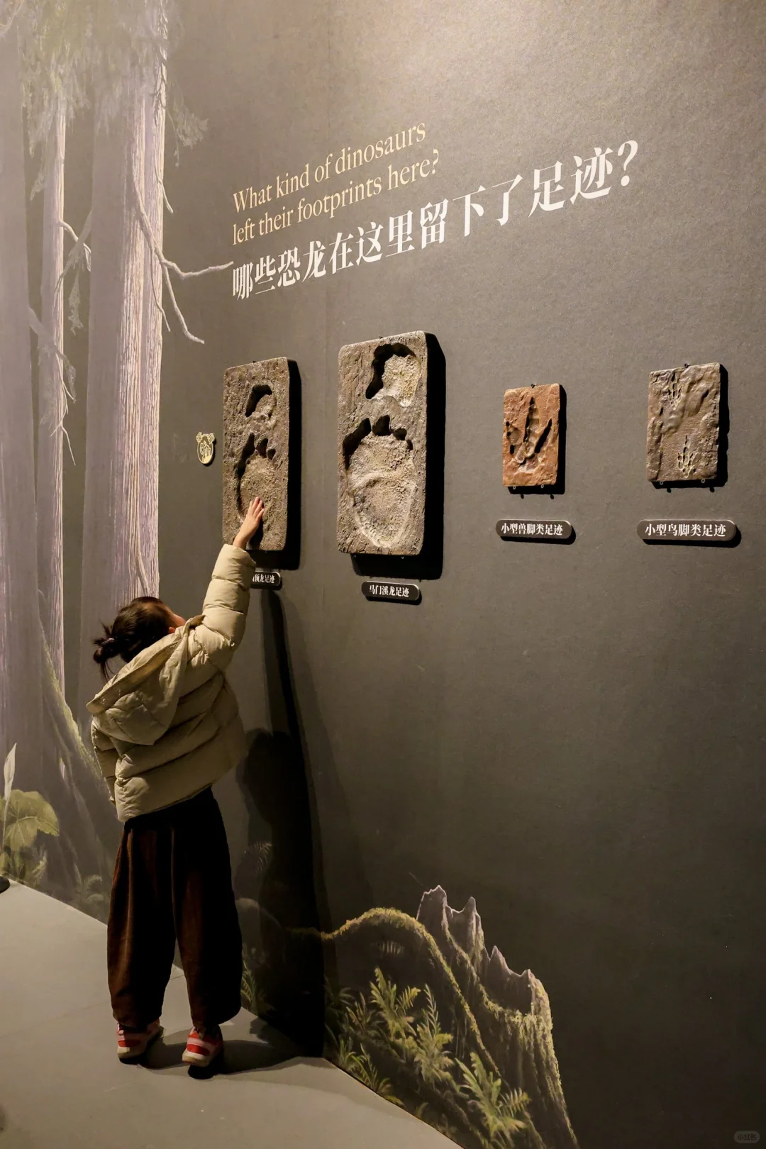 五一杭州打卡?彗星来临前见证地球梦幻