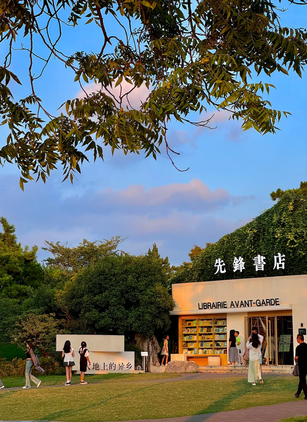 人生建议：拍完这15张图再离开南京！！