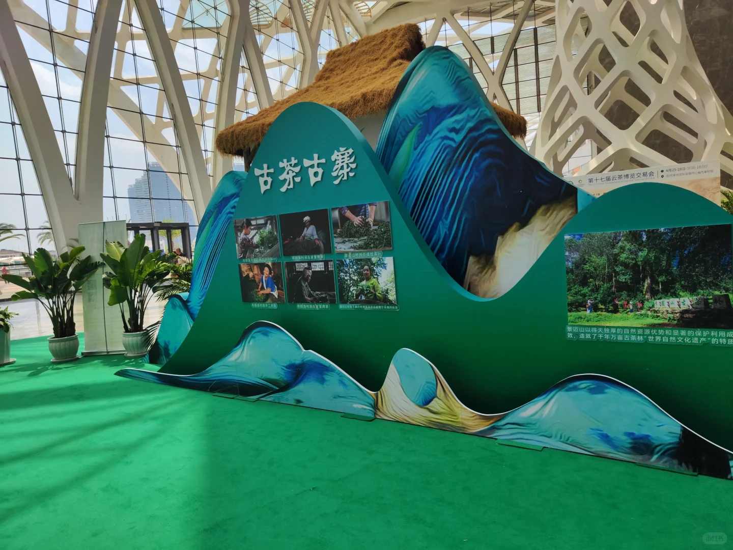 云茶博览会，上山喝茶