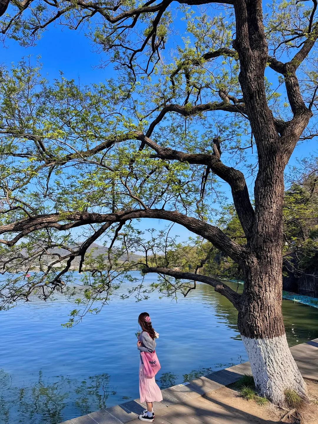 人生建议：拍完这15张图再离开南京！！