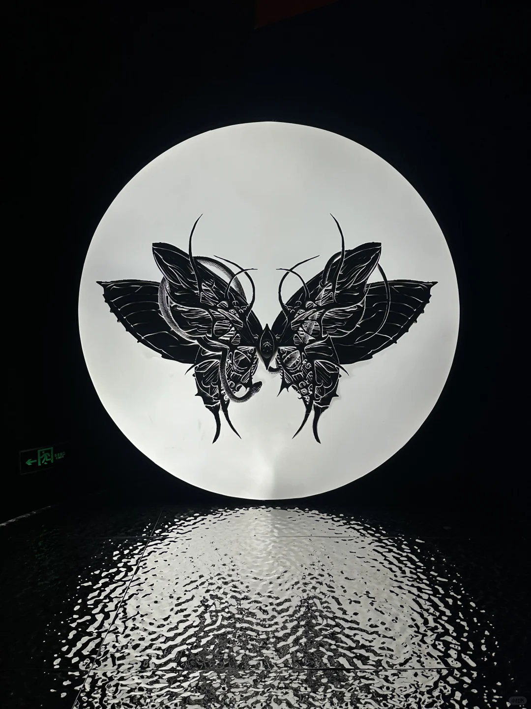 ?上海新展｜“可她眼波轮转”