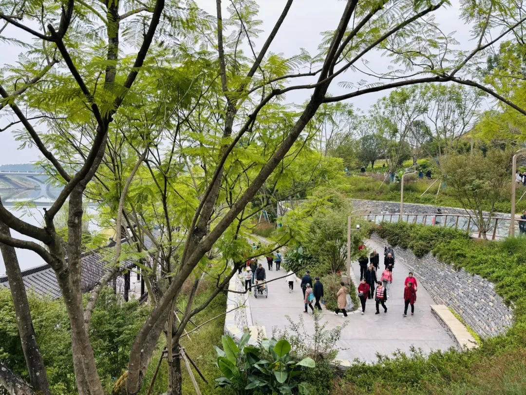 成都唯一“世界级”公园，现在免费