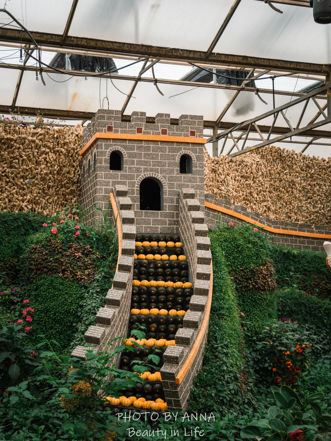 潍坊|寿光蔬菜科技博览会--我国的菜篮子