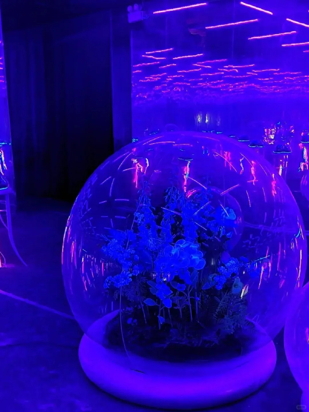 邂逅宇宙浪漫|上海漫无边界航天展