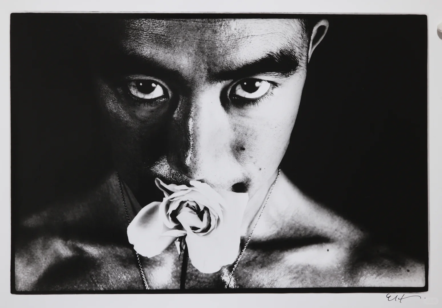 2025第十届影像上海艺术博览会即将开幕啦