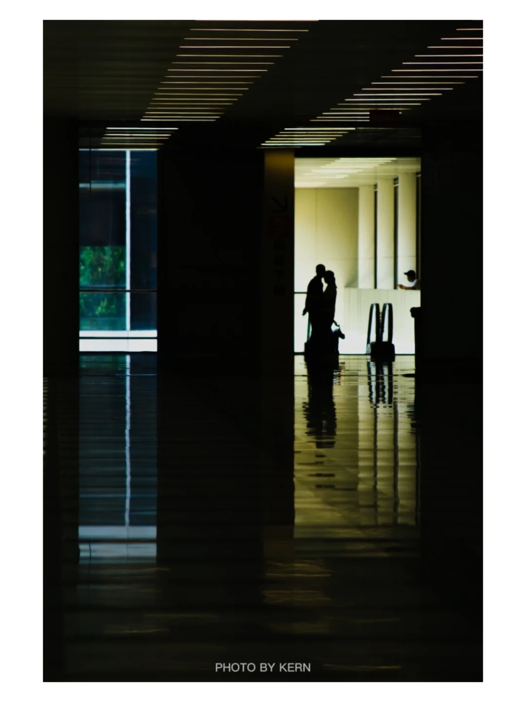 今年的会展，我拍到了什么