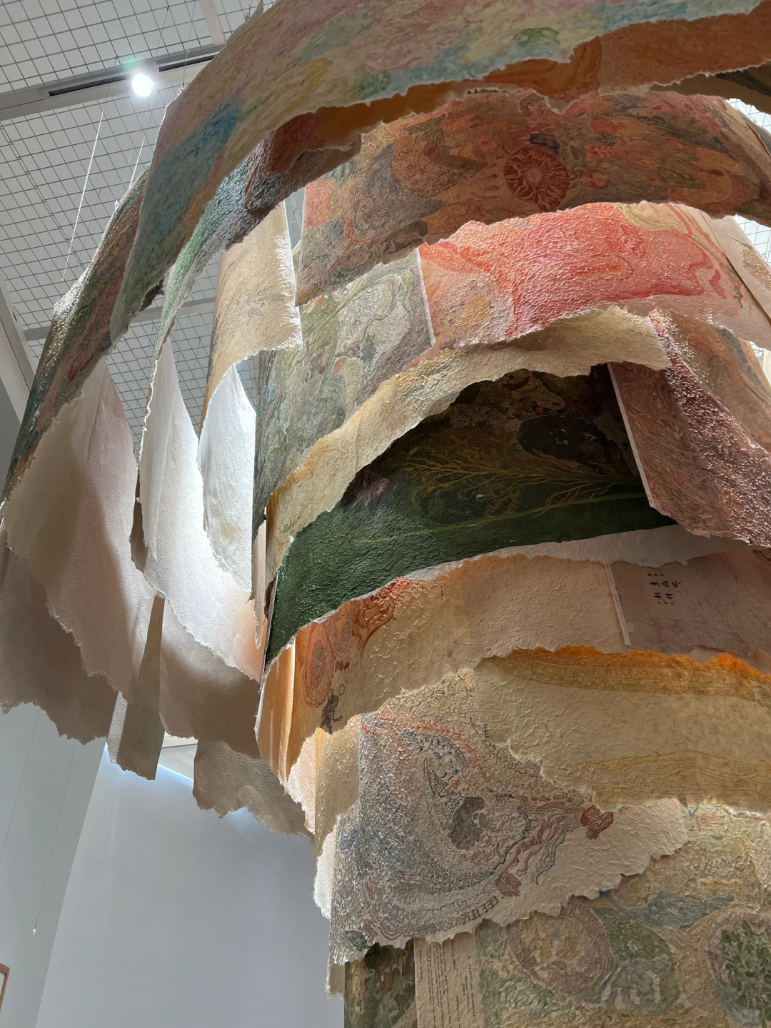 艺术看展团｜2025央美毕业展（附攻略?