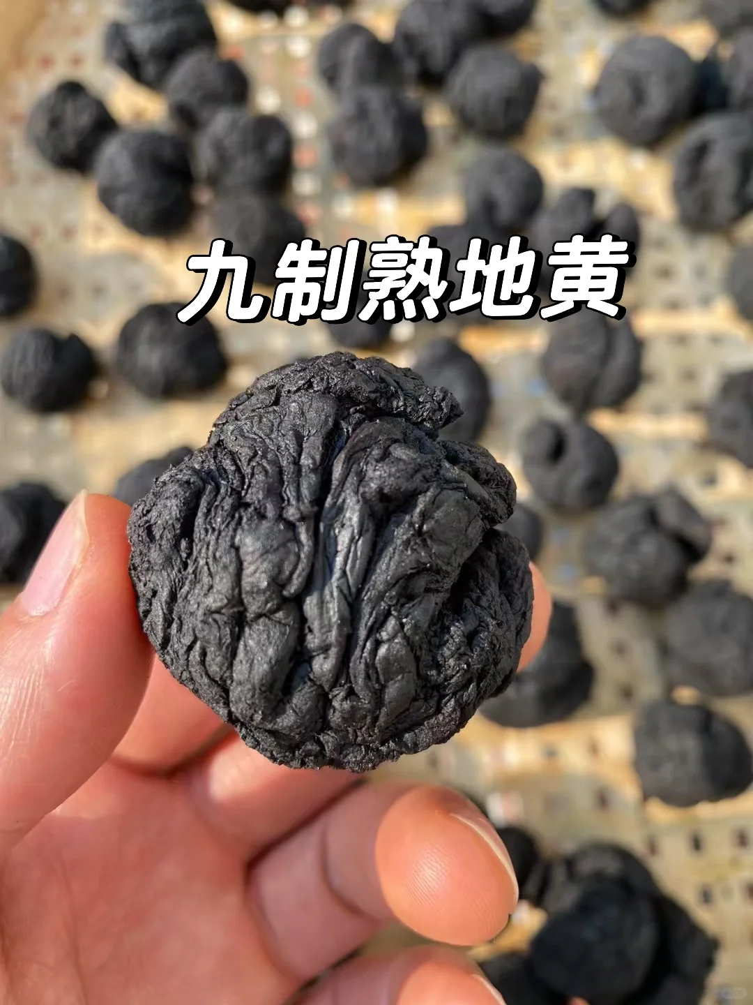 我们家九制黄精被邀请参加展博会啦!!