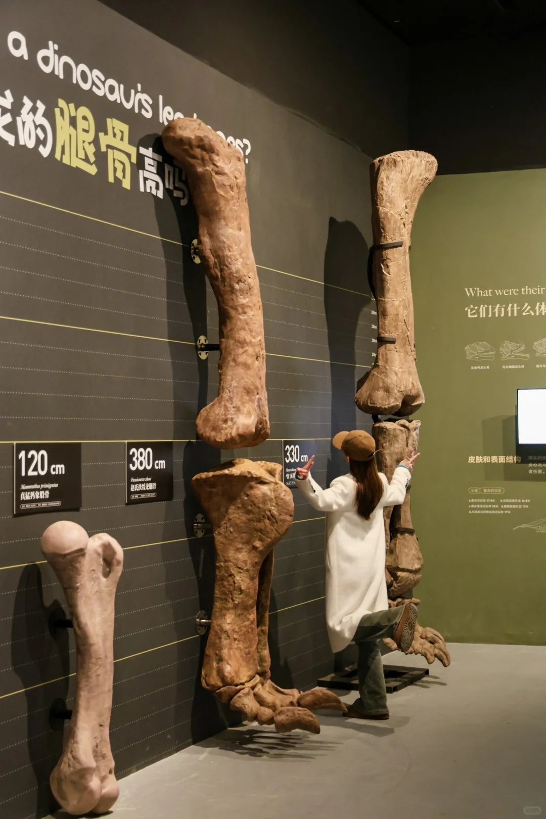 五一杭州打卡?彗星来临前见证地球梦幻