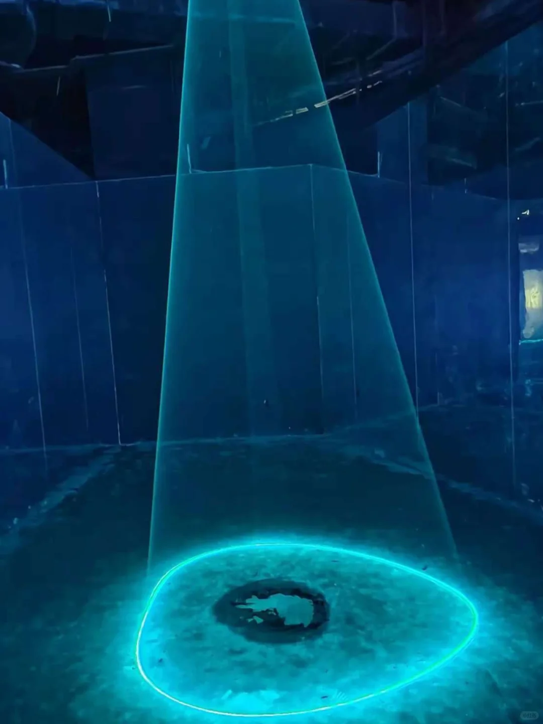 邂逅宇宙浪漫|上海漫无边界航天展