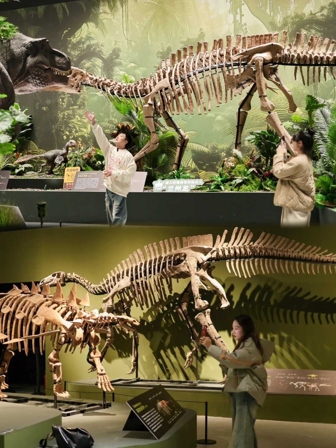 五一杭州打卡?彗星来临前见证地球梦幻