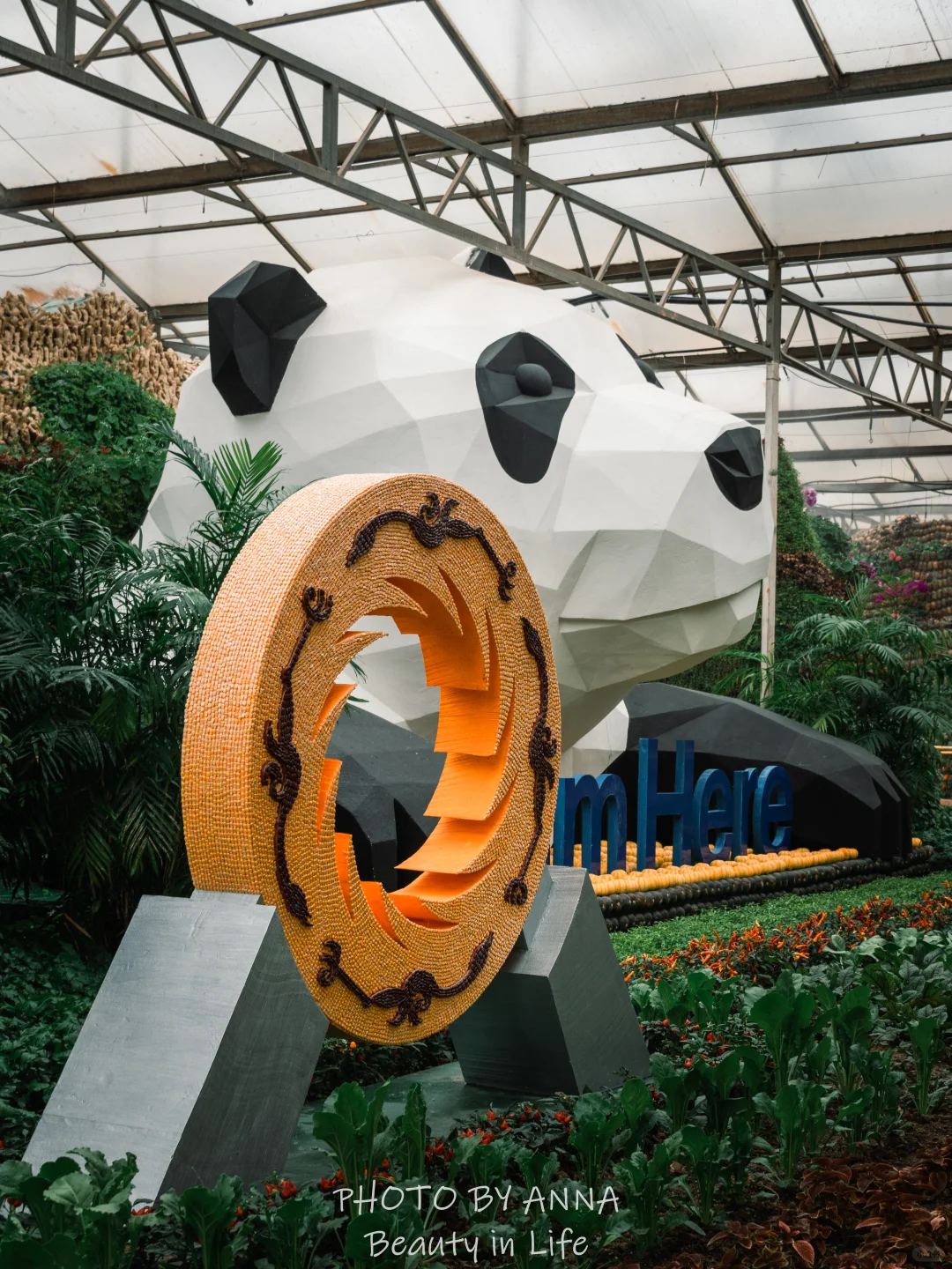 潍坊|寿光蔬菜科技博览会--我国的菜篮子