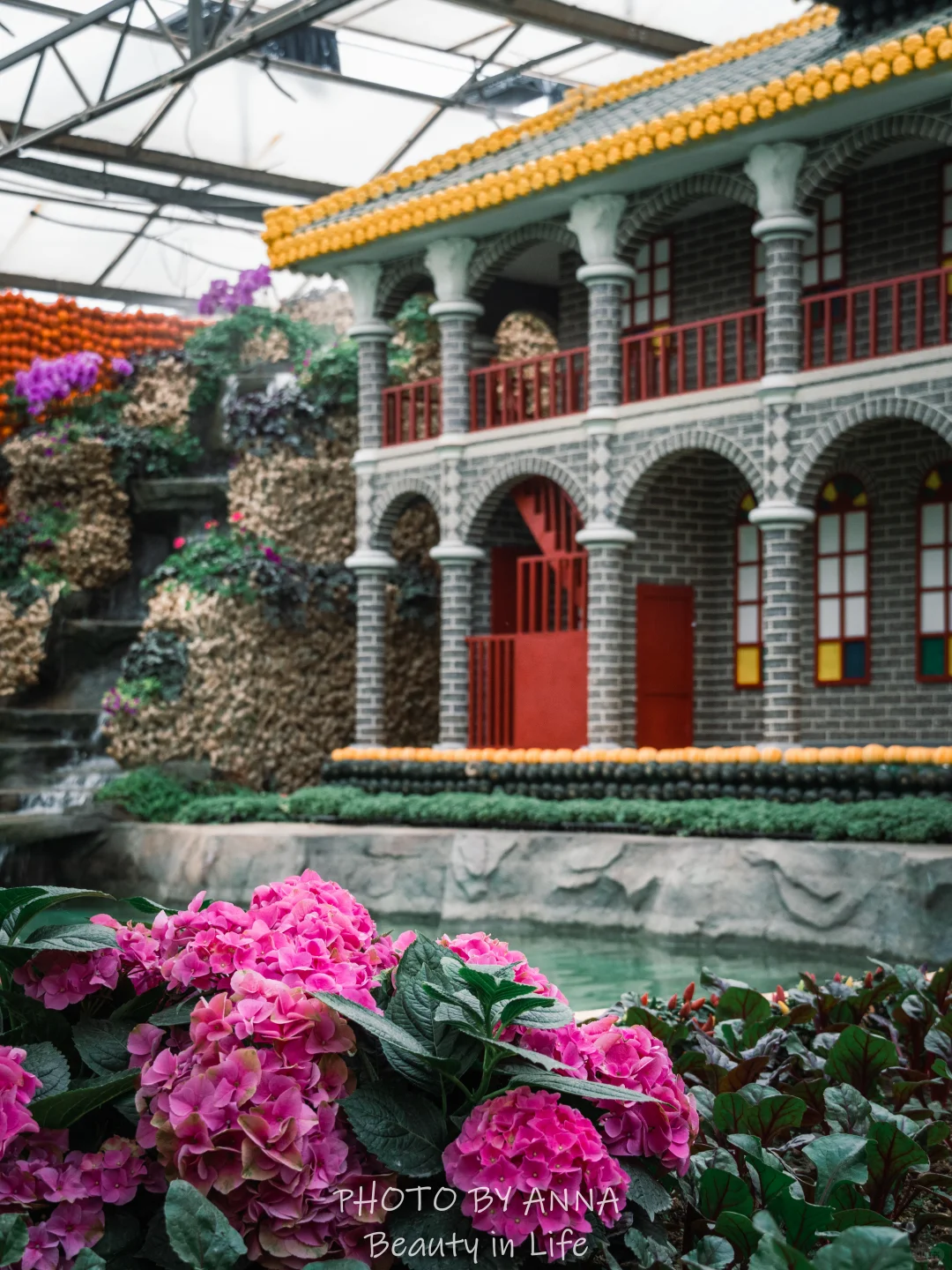 潍坊|寿光蔬菜科技博览会--我国的菜篮子