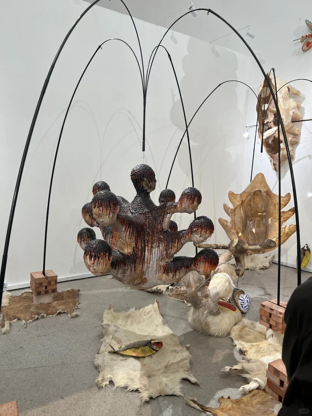 艺术看展团｜2025央美毕业展（附攻略?