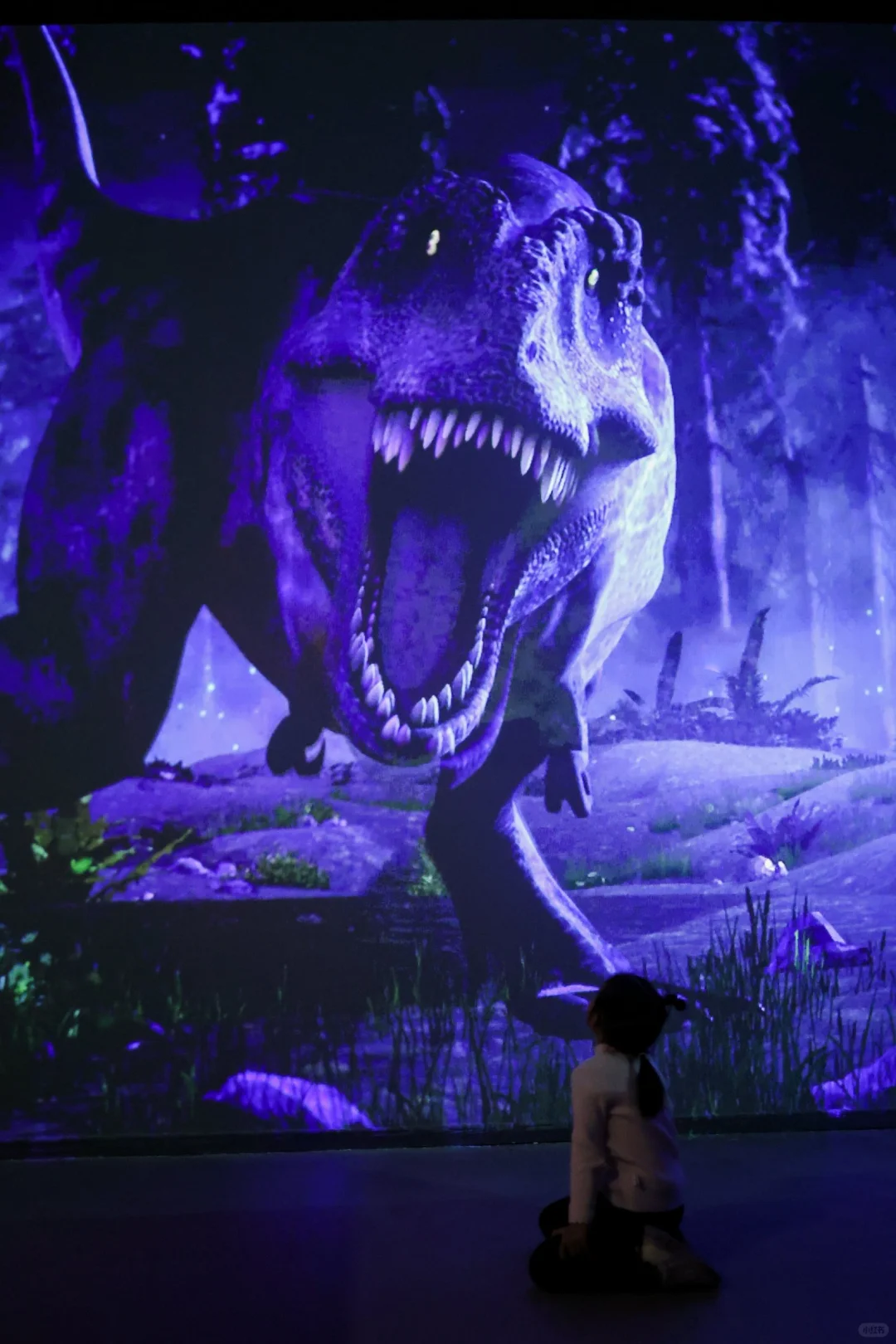 五一杭州打卡?彗星来临前见证地球梦幻